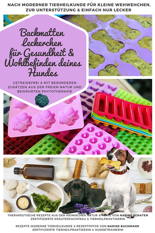 Bild der Titelseite des Buches "Backmatten leckerchen für Gesundheit & Wohlbefinden deines Hundes"